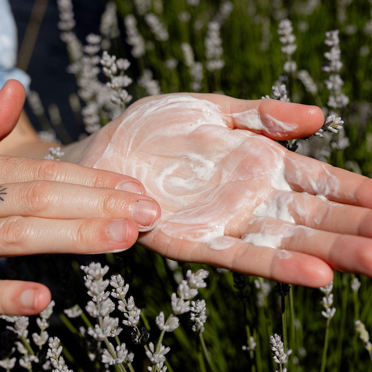 Blue Lavender Cleansing Milk