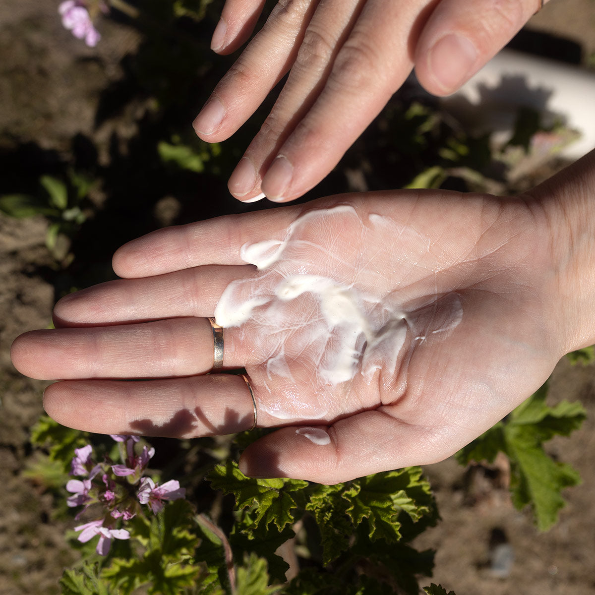 Rose Cleansing Milk