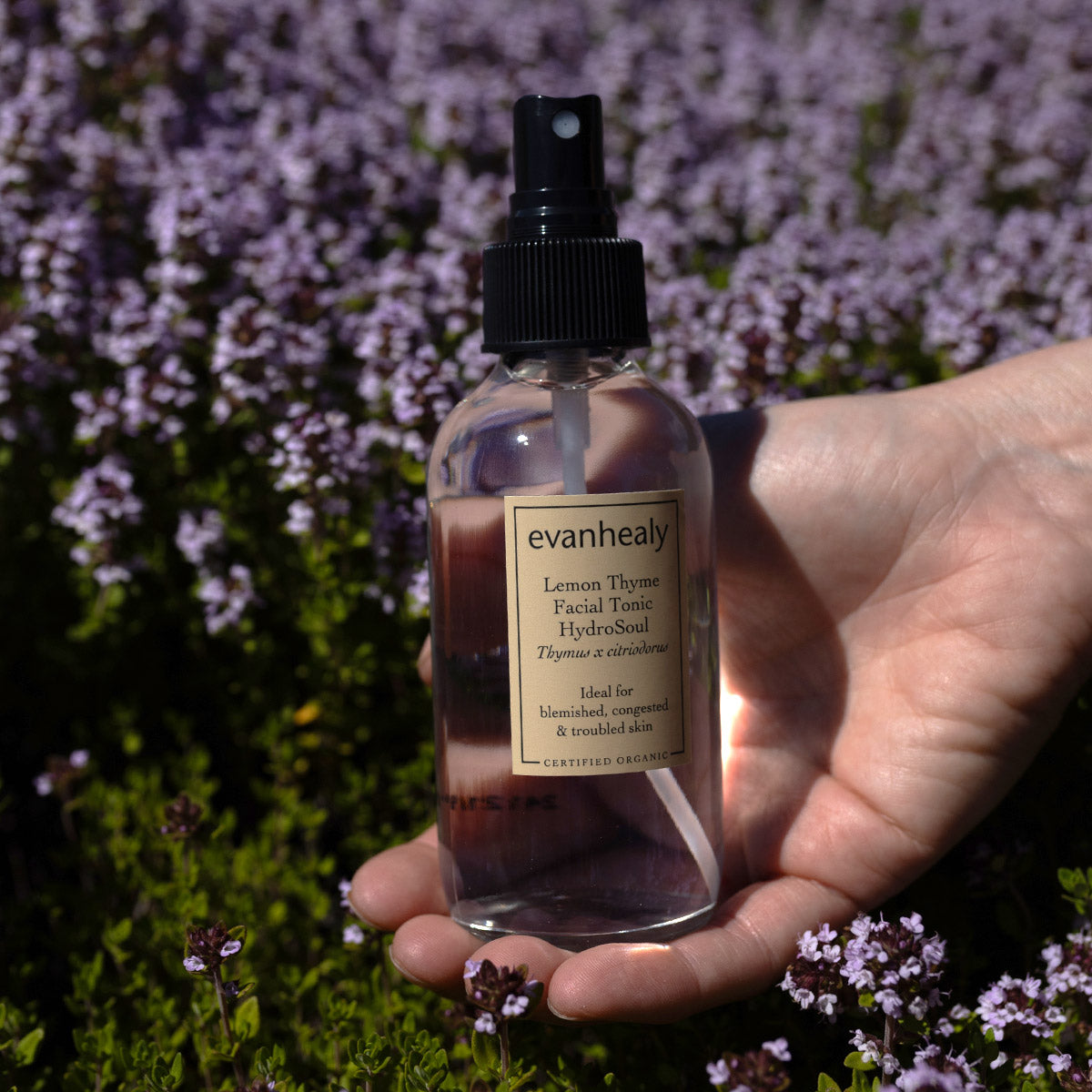 Lemon Thyme HydroSoul