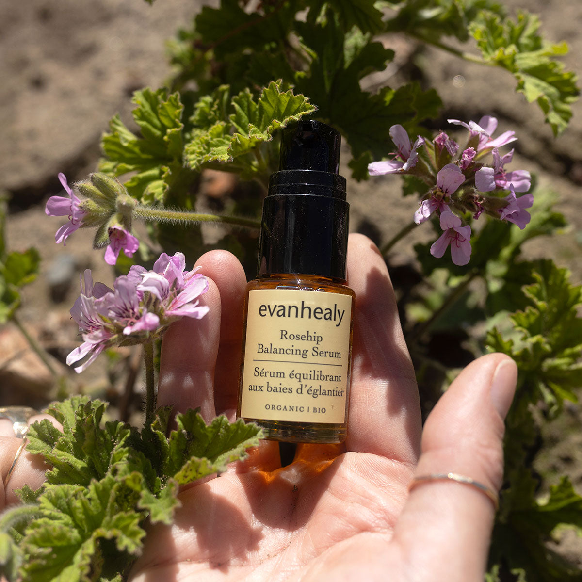 Rosehip Balancing Serum