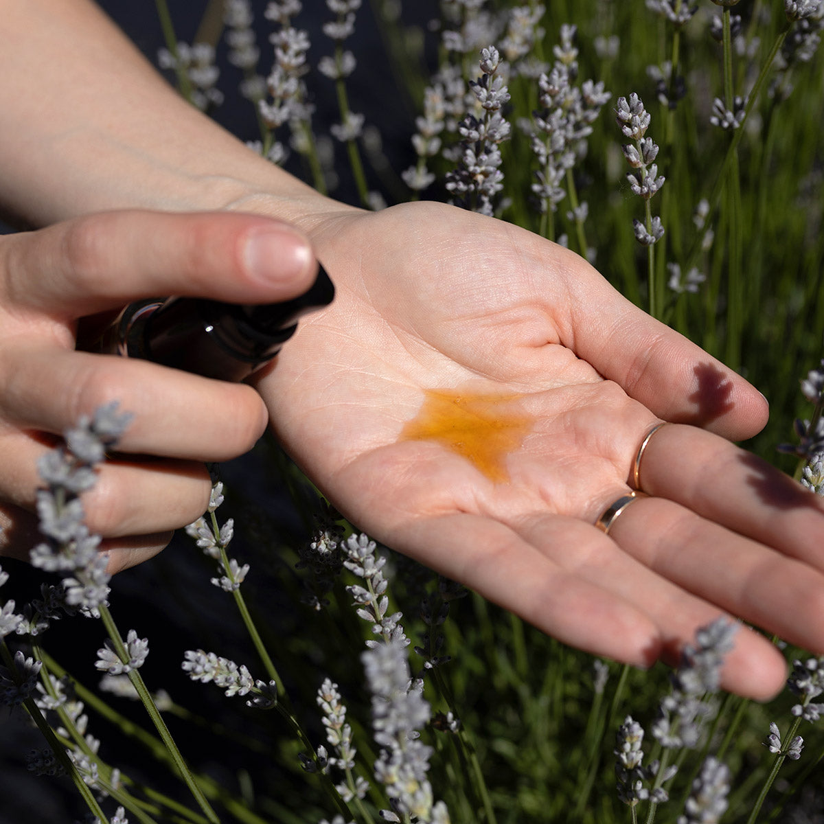 Rosehip Balancing Serum